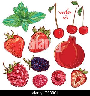 Vector set with pomegranate, strawberry, mint, cherry, raspberry, blackberry. Illustration of small fruits and berries. Fresh, juicy and colored. eps  Stock Vector