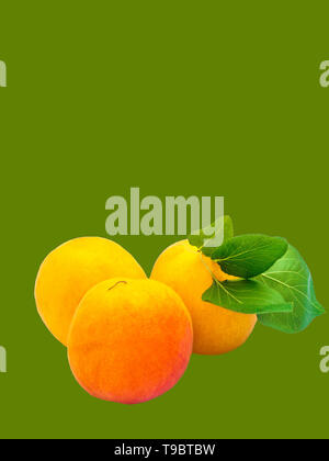 two apricots isolated on green Stock Photo