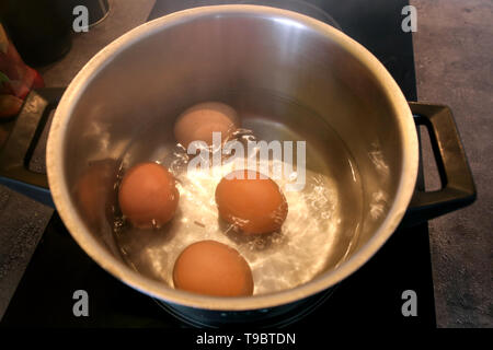 Top view of boiling organic eggs in metal pot into saucepan on electric stove in kitchen. Four chicken eggs in pot with boiling water. Stock Photo