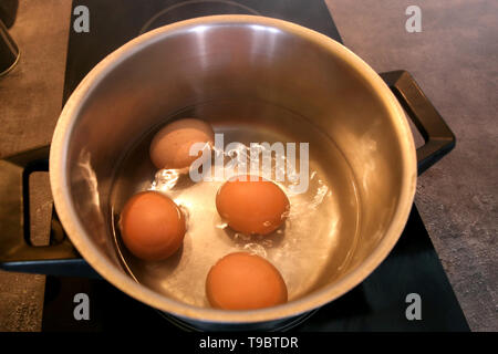 Top view of boiling organic eggs in metal pot into saucepan on electric stove in kitchen. Four chicken eggs in pot with boiling water. Stock Photo