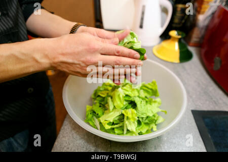 Close up of female hands and woman preparing green salad, cooking in kitchen. Housewife slicing and prepared fresh salad. Chef cutting greens. Stock Photo