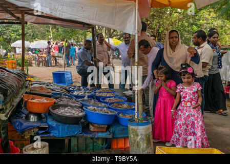 Horizontal view of children squirming at the fish market in Fort Kochi, India. Stock Photo