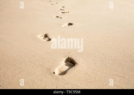 Close-up Of Footprints In The Sand On The Tropical Beach Stock Photo