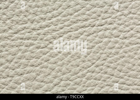 Contrast uneven leather texture in light colour. Stock Photo