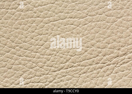 Light beige leather background for your design. Stock Photo