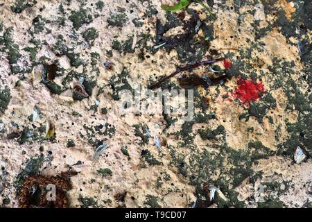 High resolution texture of colorful graffiti paint on conrete and brick walls in red blue purple and silver Stock Photo