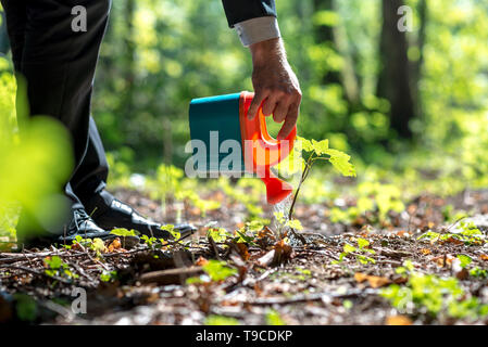 Businessman in a suit watering a plant in woodland with a small plastic toy watering can in a conceptual image. Stock Photo