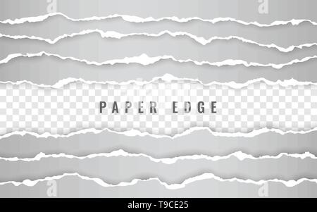 Horizontal torn paper edge. Ripped squared horizontal white paper strips. Vector illustration. Stock Vector