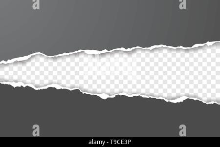 Horizontal torn paper edge. Ripped squared horizontal white paper strips. Vector illustration. Stock Vector