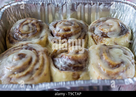 Six frosted cinnamon rolls in an aluminum foil baking pan. Stock Photo