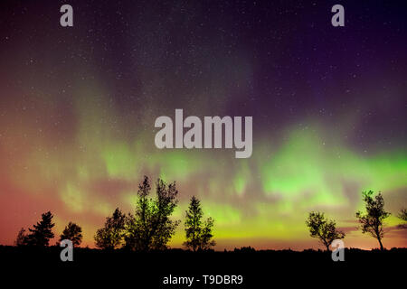 Northern lights (Aurora borealis) Birds Hill Provincial Park Manitoba Canada Stock Photo