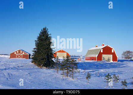 Red barns  in winter Brunkhild Manitoba Canada Stock Photo