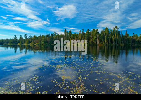 Reflection of a northern Lake, North of Field, Ontario, Canada Stock Photo