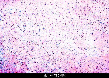 Bright multi colored pink with blue pebbles background for text Stock Photo