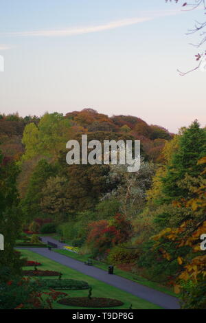 Cathedral Walk, Formal Procession by Flowerbeds on an Autumn Evening. Seaton Park, Old Aberdeen, Scotland, UK. Stock Photo