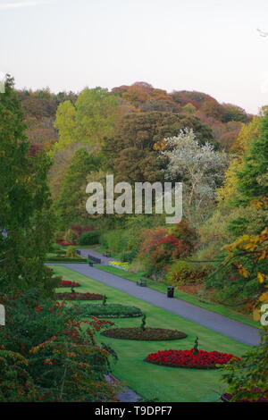 Cathedral Walk, Formal Procession by Flowerbeds on an Autumn Evening. Seaton Park, Old Aberdeen, Scotland, UK. Stock Photo