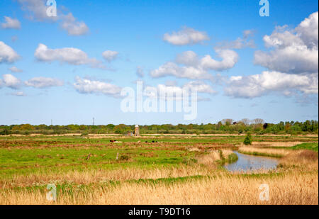 A view across Horning Marshes towards Neave's Drainage Mill on the Norfolk Broads near Ludham Bridge, Norfolk, England, UK, Europe. Stock Photo