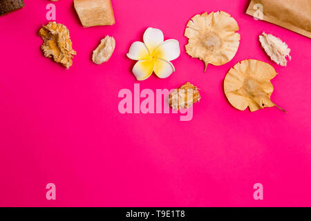 Closeup of beautiful Spa items on a pink background with copy space for text , top view Stock Photo