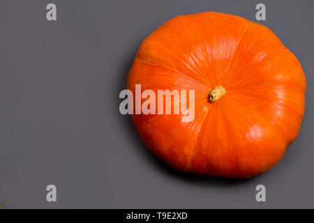 Flat lay of orange pumpkin on a gray background with copy space Stock Photo