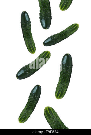 Closeup of fresh ripe green cucumber falling down on white isolate background Stock Photo