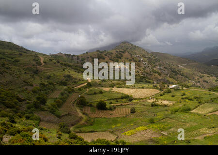 Small-scale arable farming in the hills of Crete near Melambes