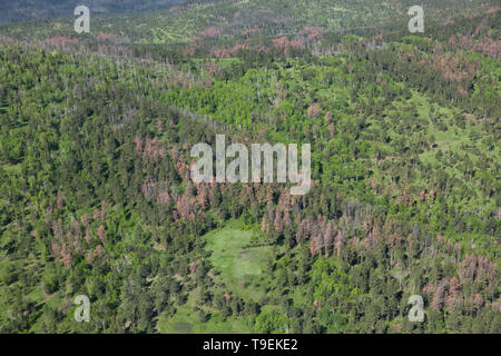 An Aerial View Of The Black Hills Area Of South Dakota Showing A Valley 