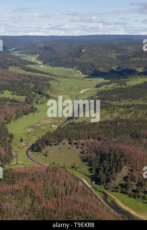 Aerial view of a winding road following the edge of a lush green lake ...