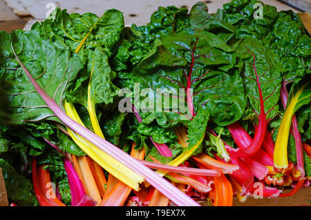 Bunches of rainbow Swiss chard with bright red  and orange stalks and green leaves for sale at a farmers market Stock Photo