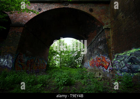 Forest ruins Stock Photo