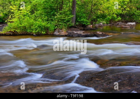 Rushing River  Rushing River Provincial Park Ontario Canada Stock Photo