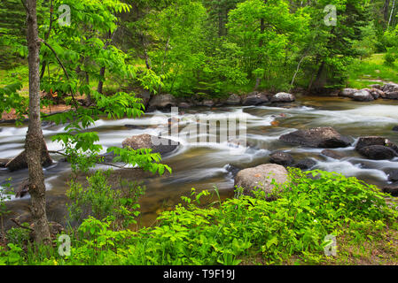 Rushing River  Rushing River Provincial Park Ontario Canada Stock Photo