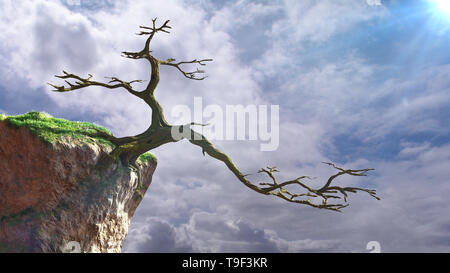 old dead tree on a cliff, fairy tale landscape Stock Photo