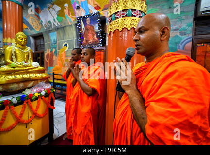 gautama buddha birthday