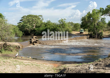 Flooded out road over the Grumeti River with yellow-billed stork and Nile crocodiles, Serengeti, Tanzania. Stock Photo