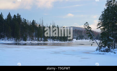 Winter landscape with frozen lake and forest in pastel colors. Snowy Lake Oderteich near Sankt Andreasberg, Harz National Park, Lower Saxony, Germany. Stock Photo