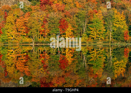 Fall Colors reflection at the Mont-Orford-National-Park, Orford, Quebec, Canada Stock Photo