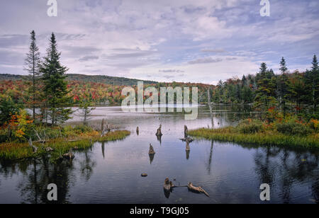 Partial view of Etang-aux-Cerises lake in autumn. Mont-Orford National Park, Quebec, Canada Stock Photo