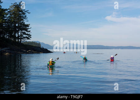Sea kayakers depart Isle-de-Lis, commonly known as Rum Island, towards Sidney, Gulf Islands National Park Stock Photo