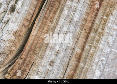 Colourful stained wood Stock Photo