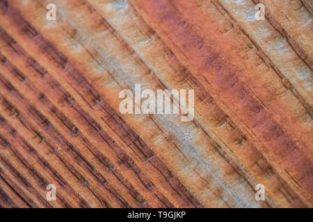 Colourful stained wood Stock Photo