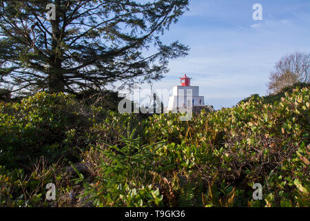 Amphitrite Point Lighthouse is an active lighthouse near Uclulelet on the west coast of Vancouver Island in British Columbia, Canada Stock Photo