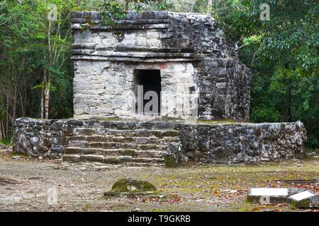 Ancient Mayan Civilization Ruins in San Gervasio Archeological Site, Cozumel Mexico Stock Photo