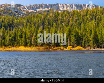 Autumn lake landscape in the Northern California Stock Photo