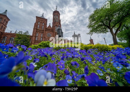 Washington, DC - May 11, 2019: Exterior view of the Smithsonian Castle, with purple pansies flowers in foreground Stock Photo