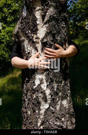 A person behind a birch truk has wrapped arms around and hugging. Stock Photo