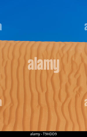 Contrast beautiful deep blue sky and orange rippled pattern sand dunes in the United Arab Emirates. Stock Photo