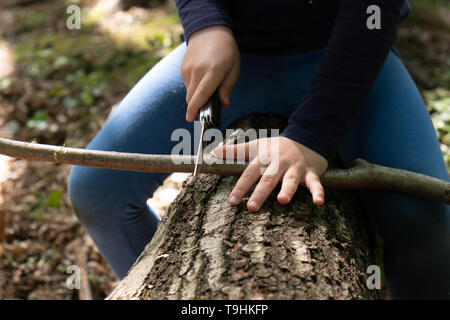 Hands of little girl or boy using a Swiss knife, sawing a piece of wood in the forest, outdoor survival and camping, fun in the woods, nobody Stock Photo