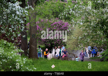 May 5, 2019 - Kiev, kiev, Ukraine - Visitors seen at the Hryshko National Botanical Garden..Hryshko National Botanical Garden is a botanical garden of the National Academy of Sciences of Ukraine. It contains 13,000 types of trees, shrubs, flowers and other plants from all over the world and The Botanical garden can impress with more than 350 species of orchids. (Credit Image: © Mohammad Javad Abjoushak/SOPA Images via ZUMA Wire) Stock Photo