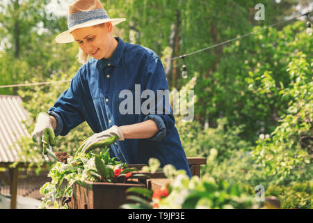 woman planting flowers in boxes on patio railings Stock Photo