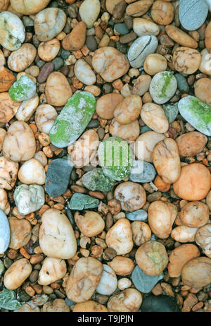 Vertical Image of Pebble Stones Walkway for Background Stock Photo